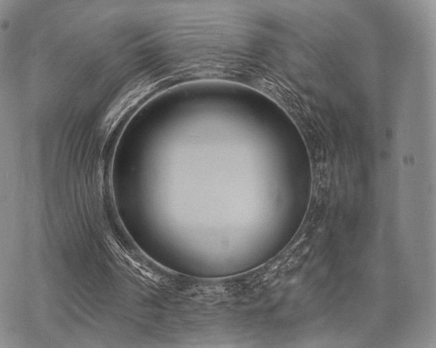 X0000073700194200608031223