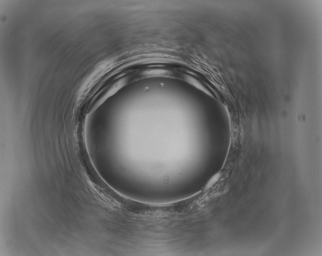 X0000073700197200608031223