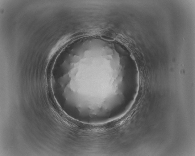 X0000073700198200608031223