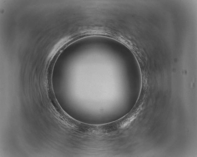 X0000073700199200608031223