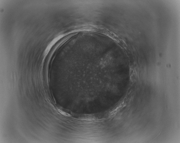 X0000073700200200608031223