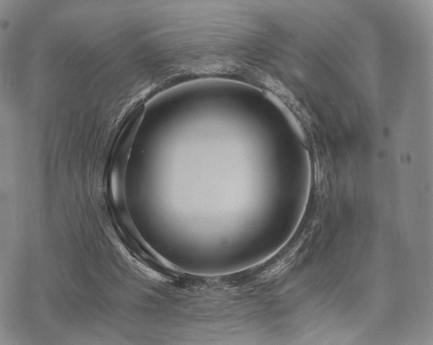 X0000073700201200608031223