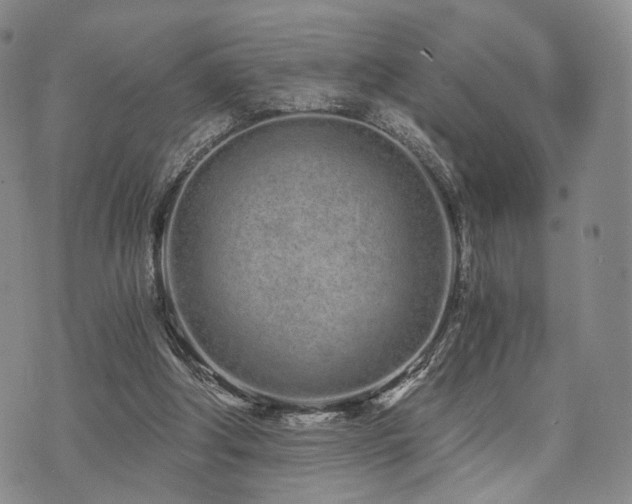 X0000073700202200608031223