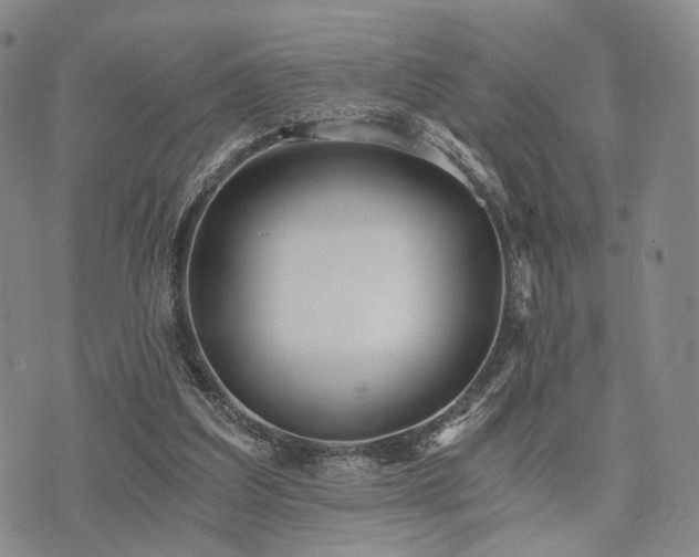 X0000073700203200608031223