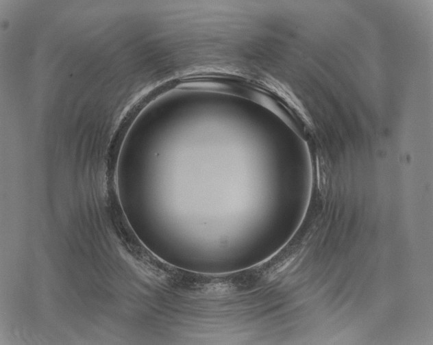 X0000073700204200608031223