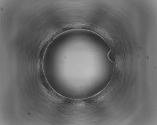 X0000073700206200608031223