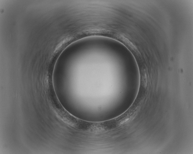 X0000073700207200608031223