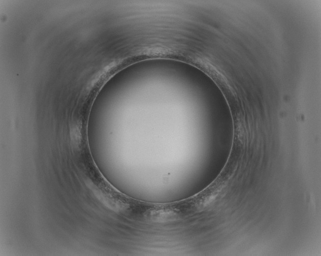 X0000073700208200608031223