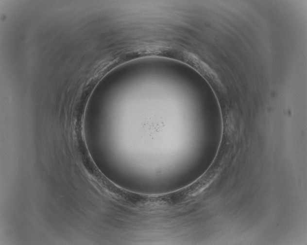 X0000073700209200608031223