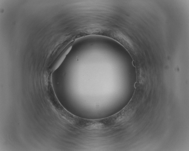 X0000073700210200608031223