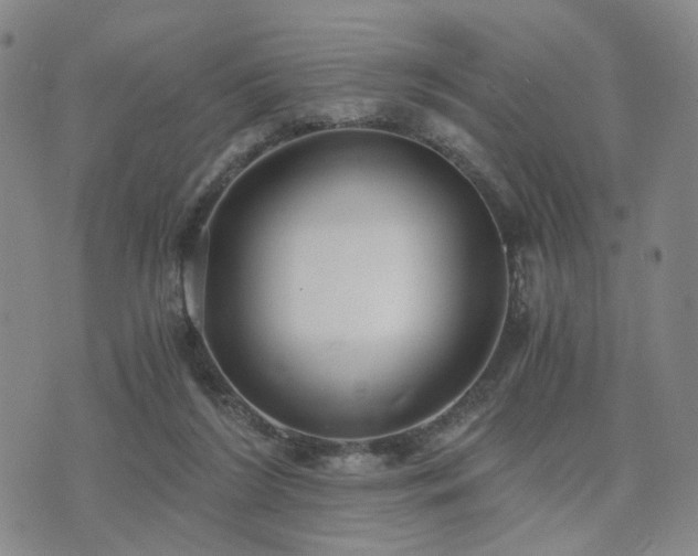 X0000073700212200608031223