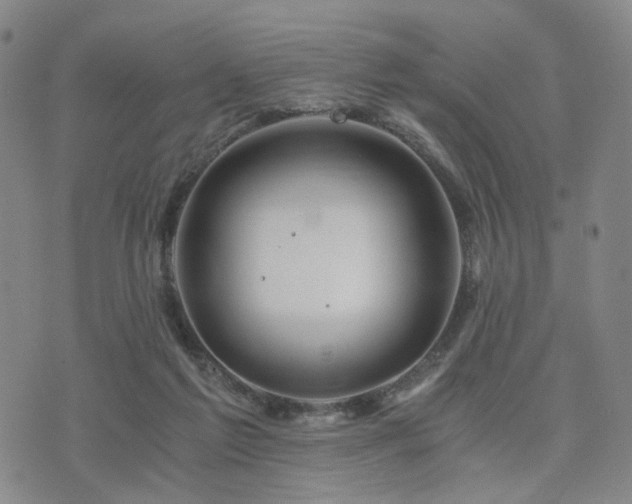 X0000073700213200608031223