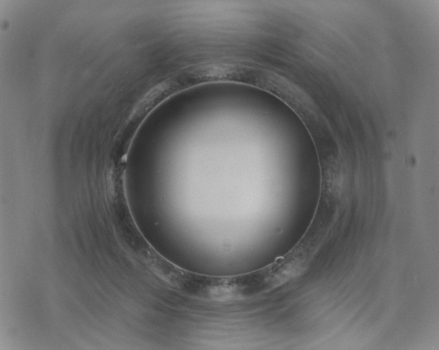 X0000073700216200608031223