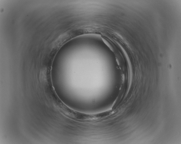 X0000073700217200608031223