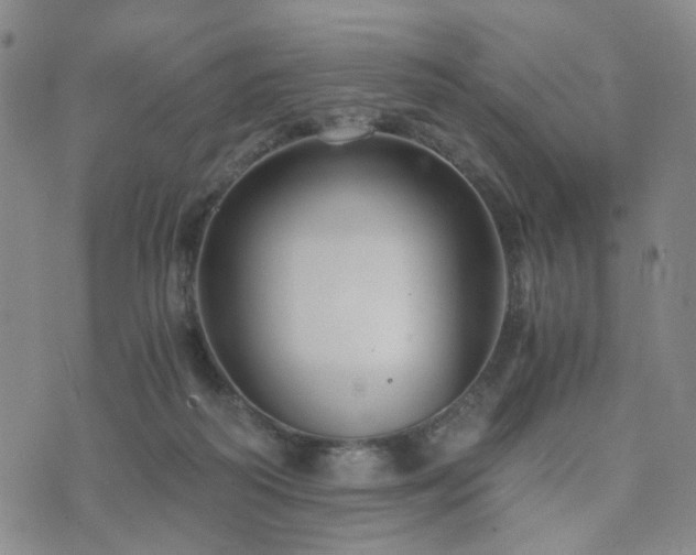 X0000073700218200608031222