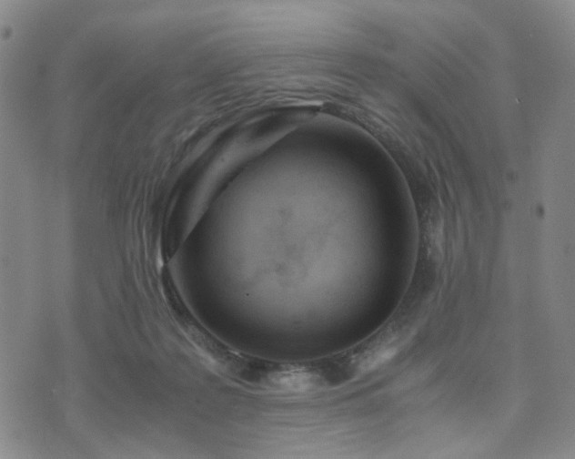 X0000073700219200608031222