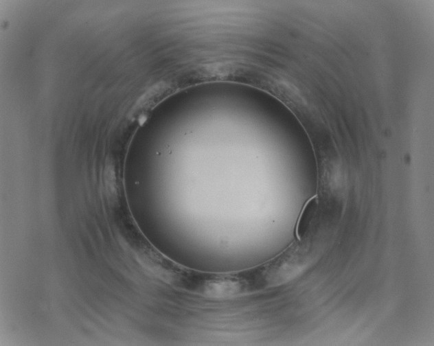 X0000073700220200608031222