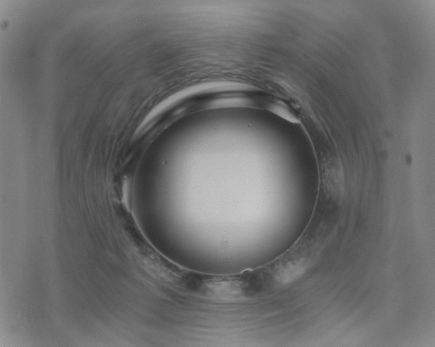 X0000073700221200608031222