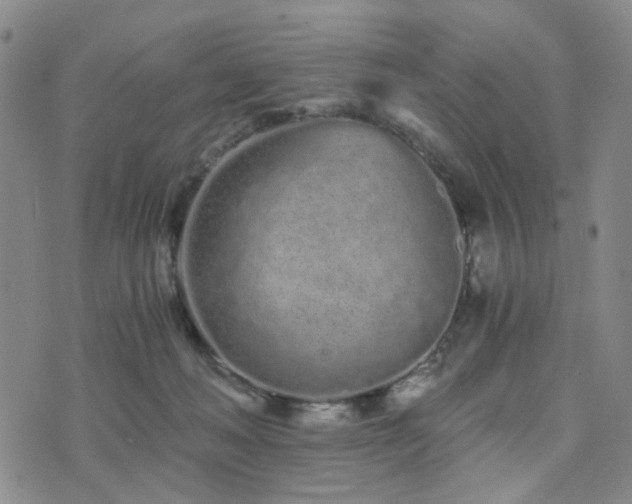 X0000073700222200608031222