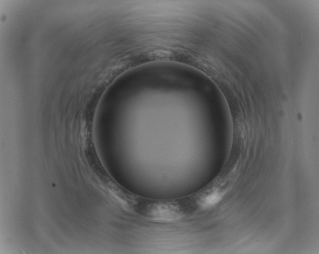 X0000073700223200608031222