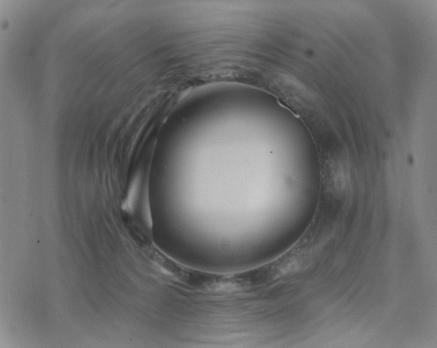 X0000073700224200608031222