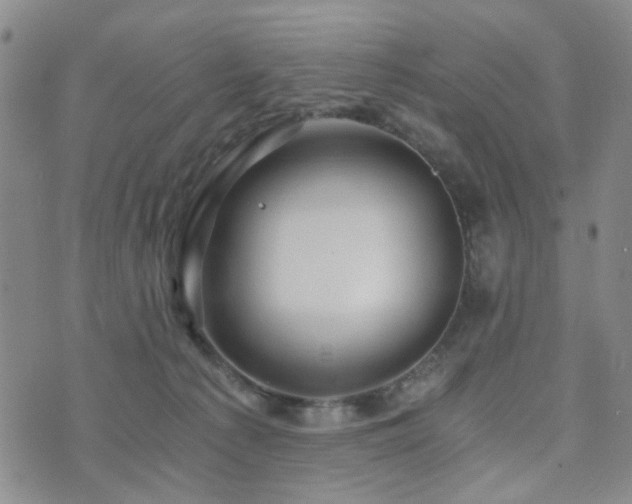 X0000073700225200608031222