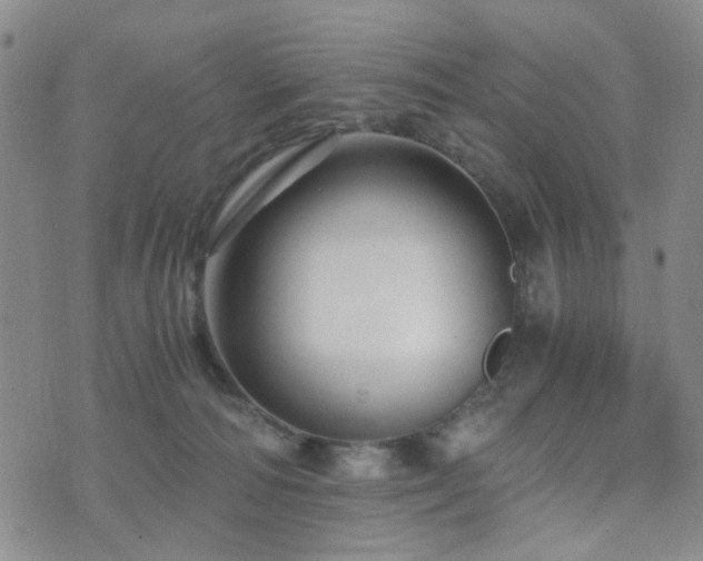 X0000073700226200608031222