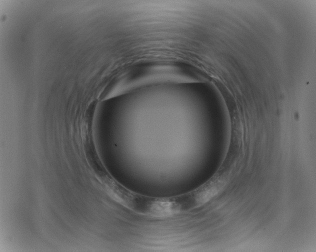 X0000073700227200608031222