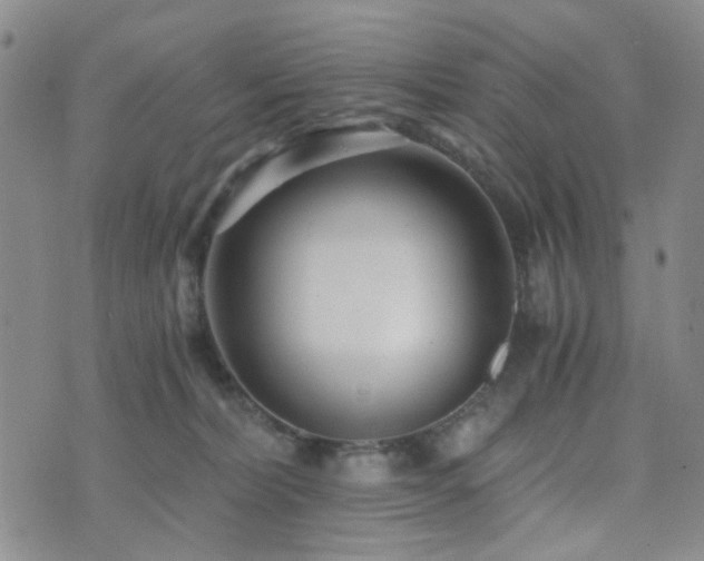 X0000073700228200608031222