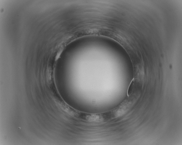 X0000073700230200608031222