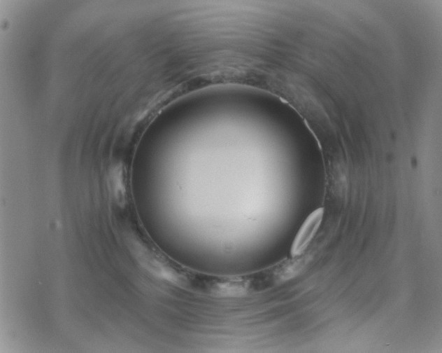 X0000073700232200608031222