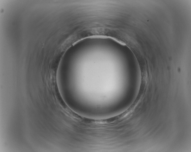 X0000073700233200608031222