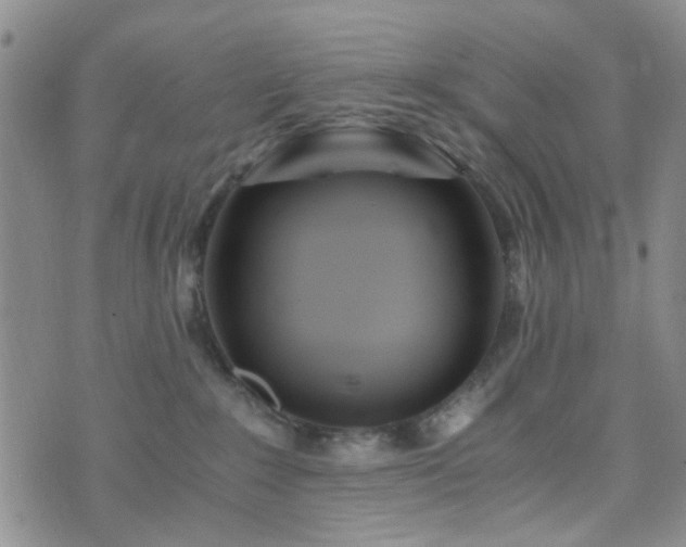 X0000073700235200608031222