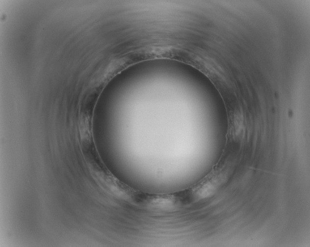 X0000073700236200608031222