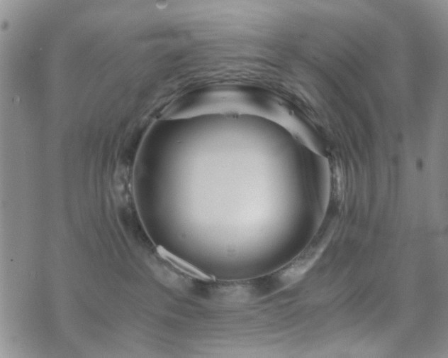 X0000073700237200608031222