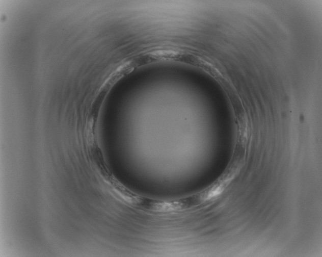 X0000073700239200608031222