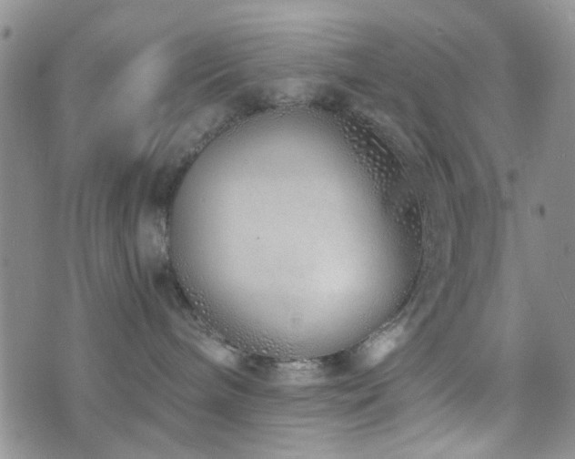 X0000073700240200608031222