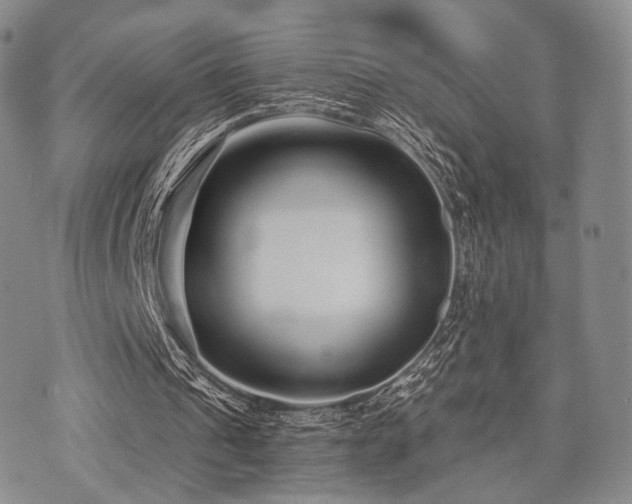 X0000073700241200608031221