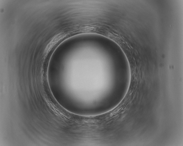 X0000073700242200608031221