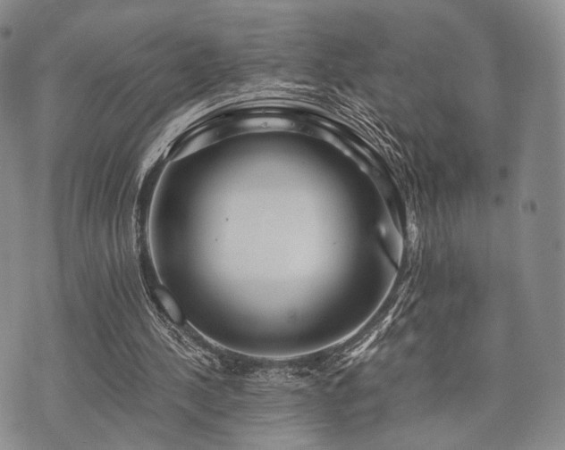 X0000073700244200608031221