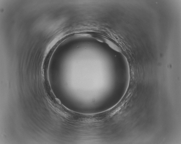 X0000073700246200608031221