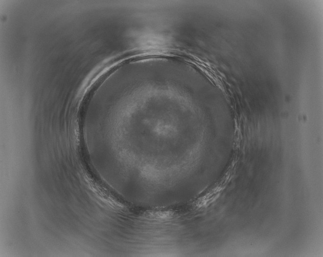 X0000073700247200608031221