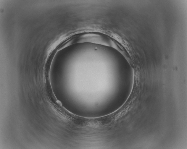 X0000073700248200608031221