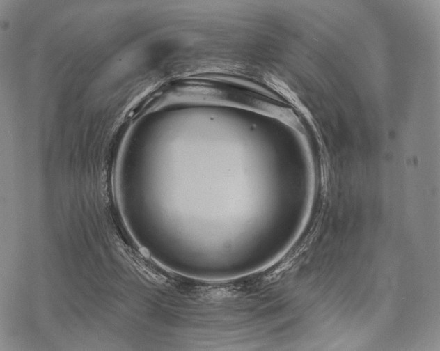 X0000073700249200608031221