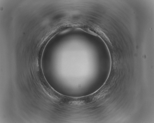 X0000073700251200608031222