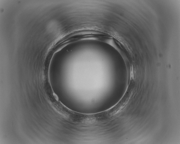 X0000073700252200608031222