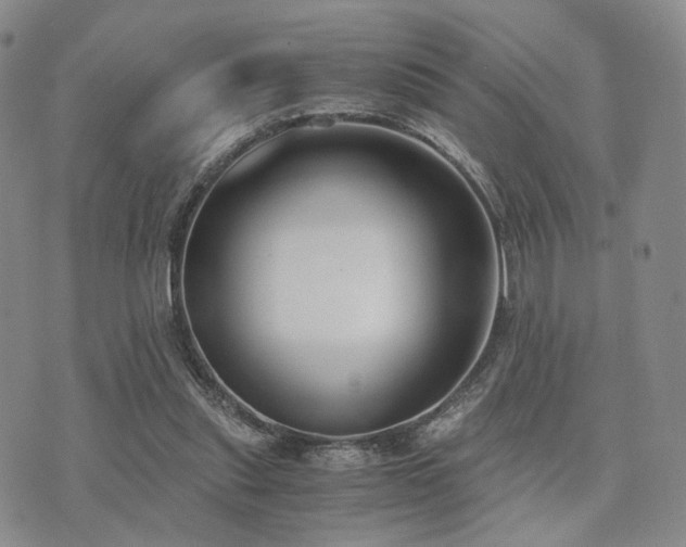 X0000073700253200608031222