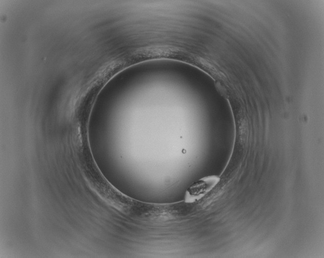 X0000073700254200608031222