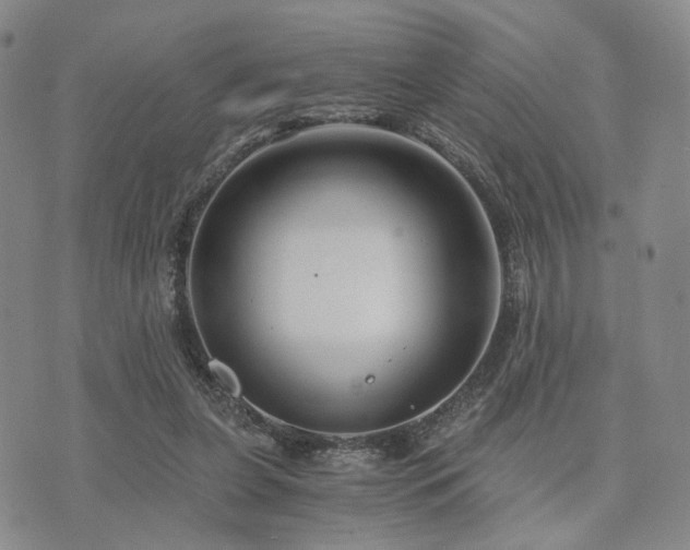 X0000073700255200608031222