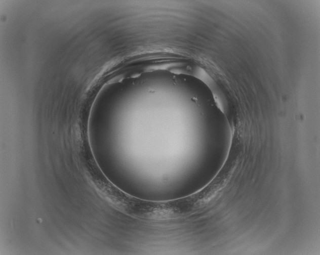 X0000073700256200608031222